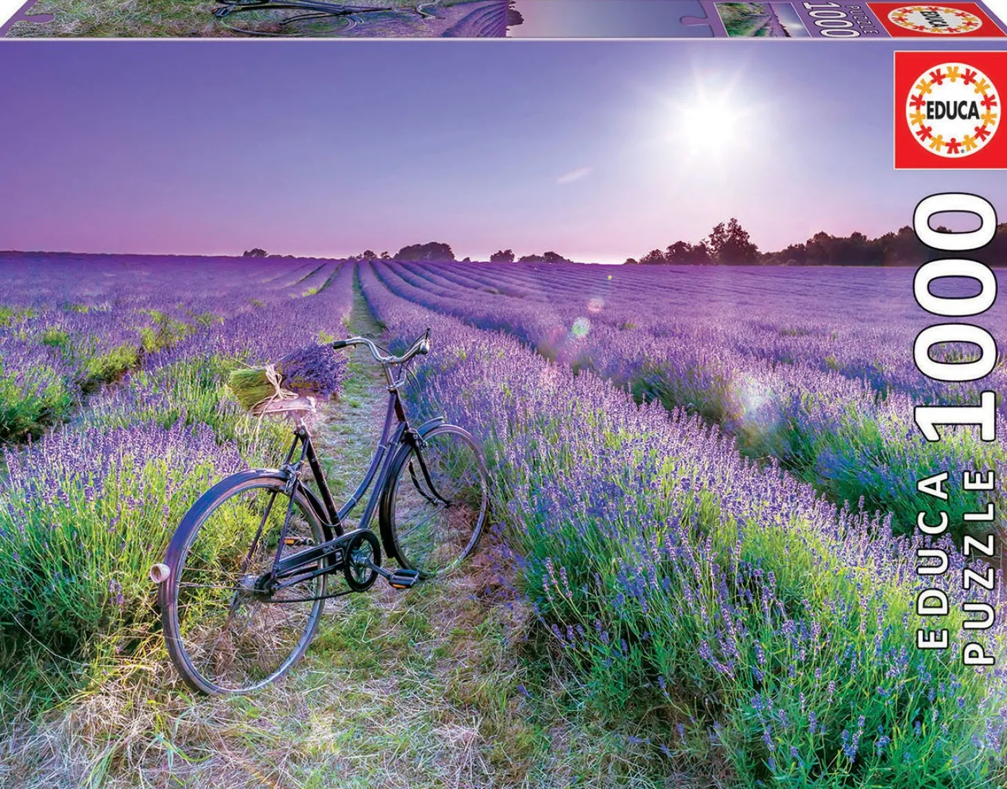 Educa Vélo dans un champ de lavande - puzzle de 1000 pièces