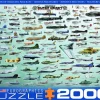 Eurographics Puzzles Avions Militaires - Collage - puzzle de 2000 pièces