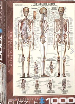 Eurographics Puzzles Le squelette - puzzle de 1000 pièces