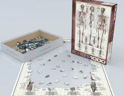 Eurographics Puzzles Le squelette - puzzle de 1000 pièces