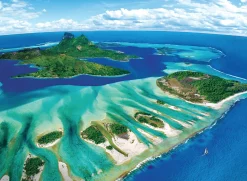 Eurographics Puzzles Récif de corail - puzzle de 1000 pièces