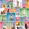Eurographics Puzzles Yoga Dogs - Collage - puzzle de 1000 pièces