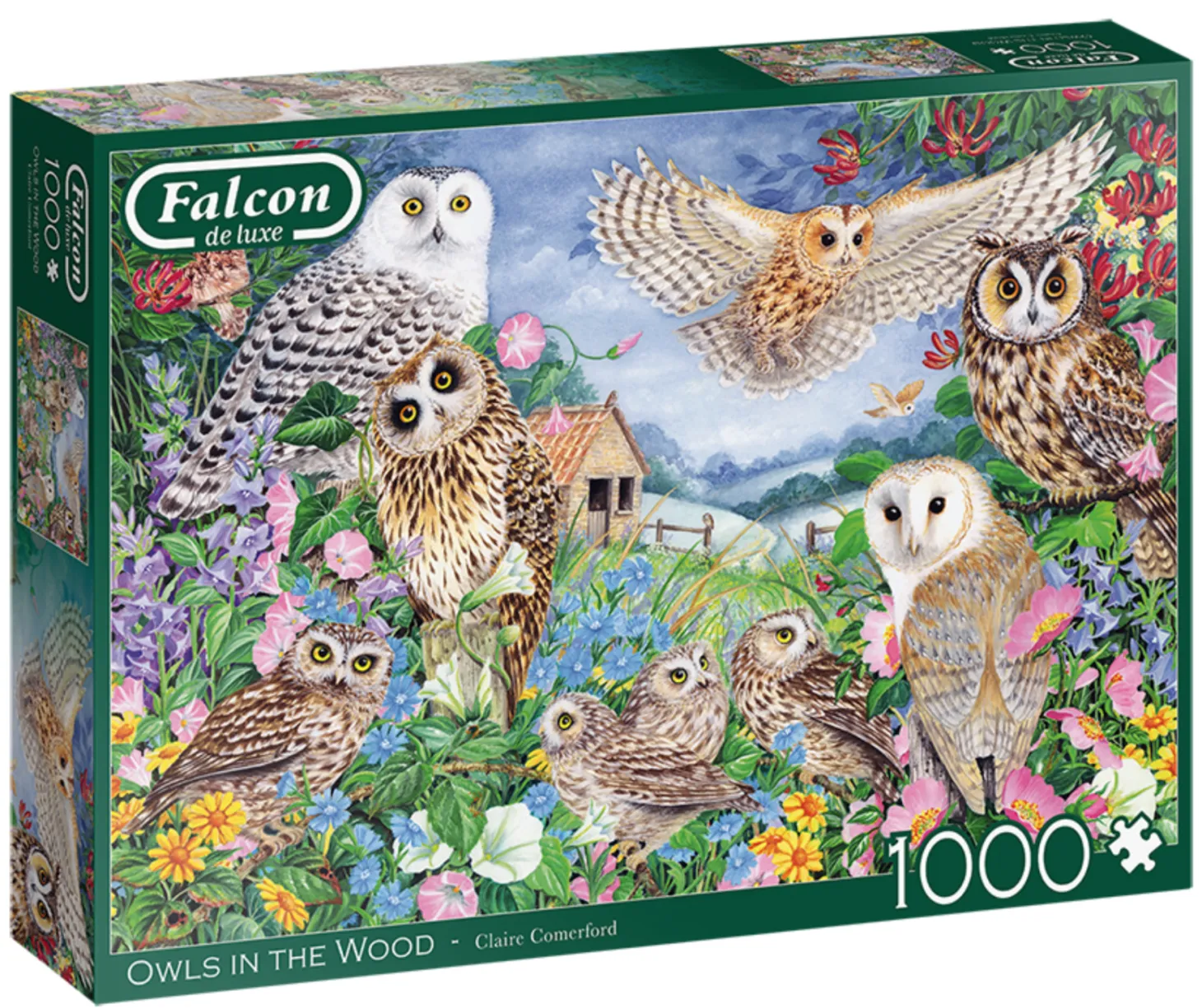 Falcon Les hiboux dans les bois - puzzle de 1000 pièces