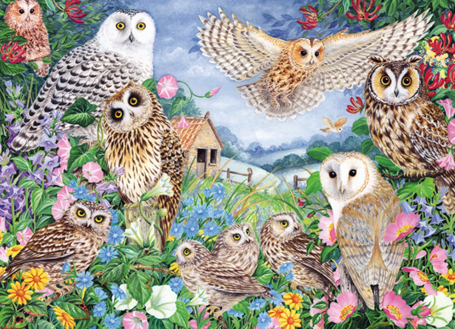 Falcon Les hiboux dans les bois - puzzle de 1000 pièces