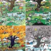 Heye 4 saisons- puzzle de 2000 pièces