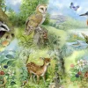 HOP Nature Study - 250 XL pièces
