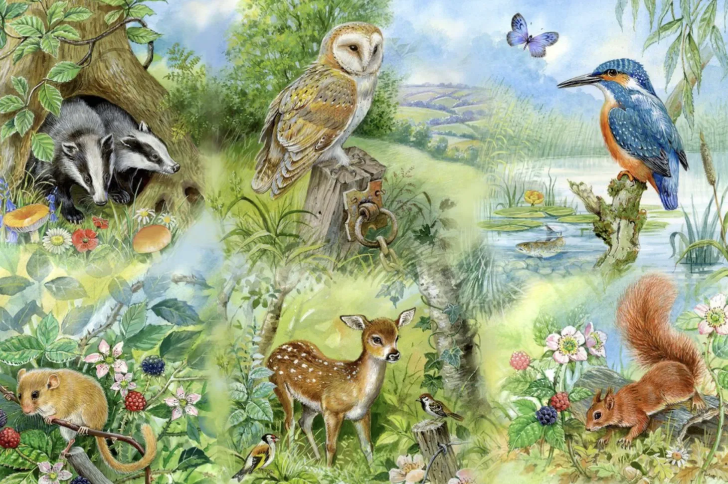 HOP Nature Study - 250 XL pièces