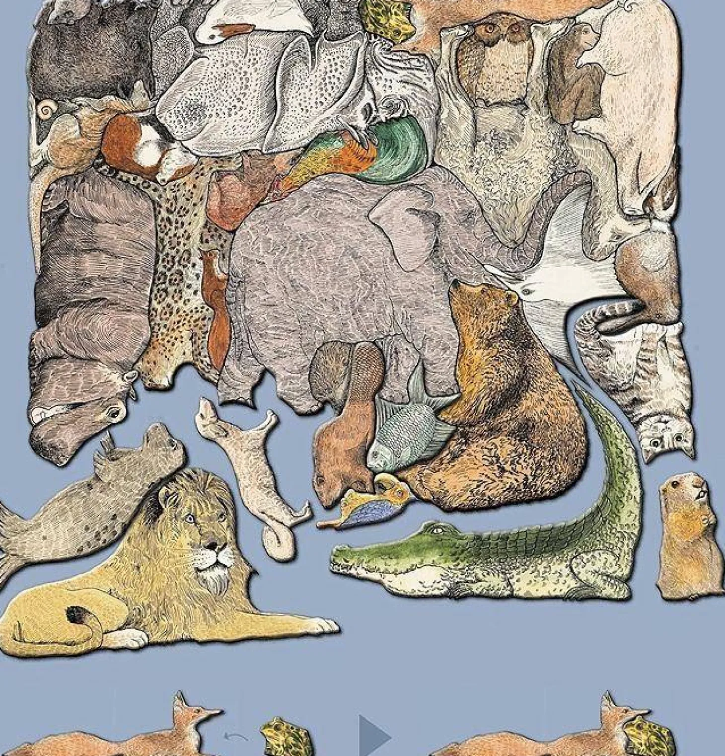 MeterMorphosen Puzzle animal - Une image de 33 animaux - F.K. Waechter - 33 pièces