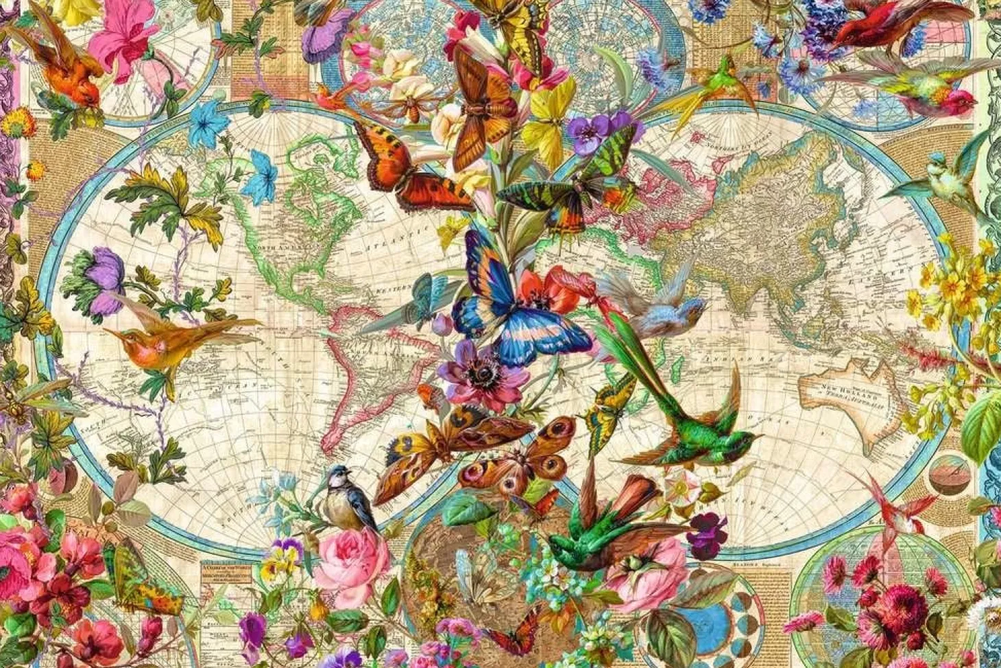 Ravensburger Carte mondiale des papillons - puzzle de 3000 pièces