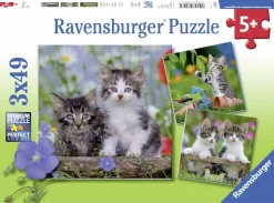 Ravensburger Chatons tigrés - 3 puzzles de 49 pièces