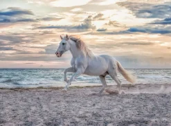 Ravensburger Cheval sur la plage - puzzle de 500 pièces