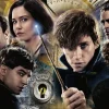 Ravensburger Fantastic Beasts - 300 pièces