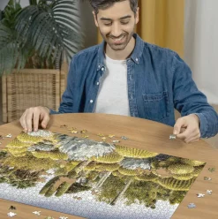 Ravensburger Huntington Desert Garden - puzzle de 1000 pièces