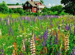 Ravensburger Maison de campagne en Suède - puzzle de 500 pièces