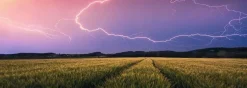 Ravensburger Orage d’été - puzzle de 500 pièces