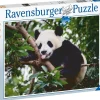 Ravensburger Panda dans l'arbre - puzzle de 500 pièces