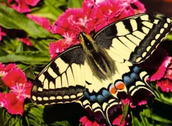 Ravensburger Papillon - Colorfull Animals - puzzle de 500 pièces