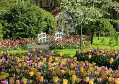 Ravensburger Parc floral de Keukenhof - Pays-Bas - puzzle de 1000 pièces