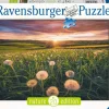 Ravensburger Pissenlits au soleil couchant - puzzle de 500 pièces