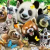 Ravensburger Wildlife selfie - 300 pièces