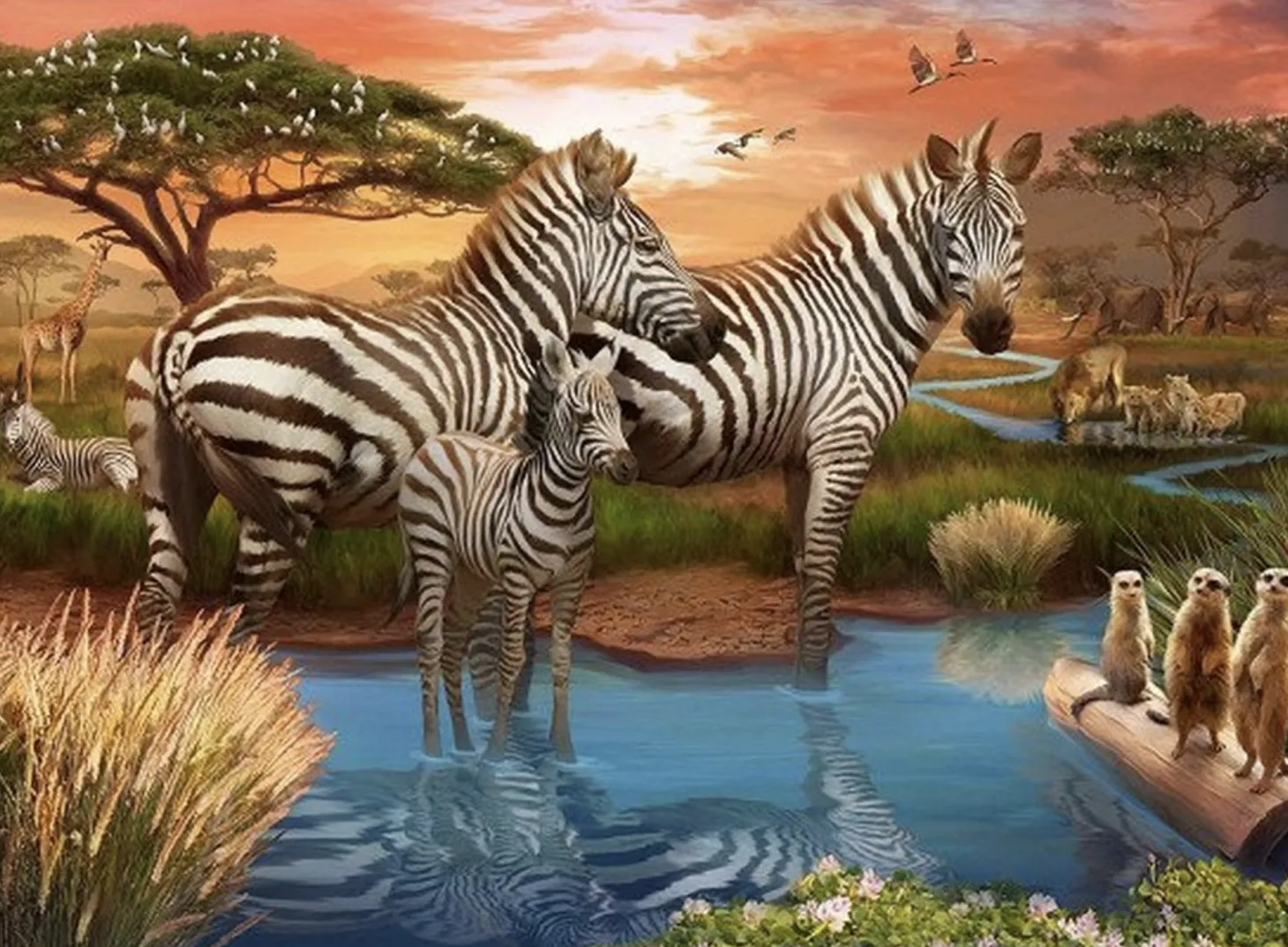 Ravensburger Zèbres au point d'eau - puzzle de 500 pièces