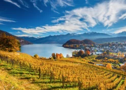 Schmidt Les vignes - puzzle de 2000 pièces