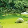 Schmidt Nature dans le Queensland, en Australie - 1000 pièces