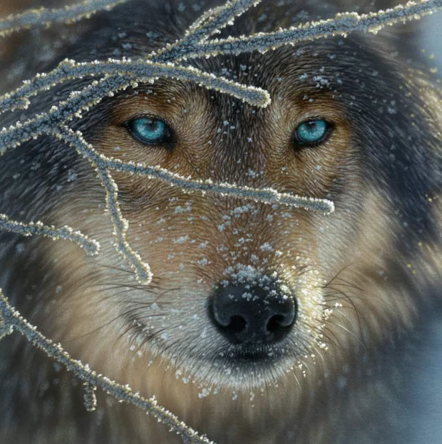 SUNSOUT Le loup - puzzle de 500 pièces