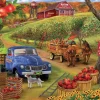 SUNSOUT Cueillez vos propres pommes - puzzle de 500 XXL pièces