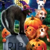SUNSOUT Don't mess with Kitty - puzzle de 300 XXL pièces - Copy