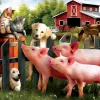 SUNSOUT Making New Friends - puzzle de 300 XXL pièces