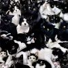 SUNSOUT Une étude en noir et blanc - puzzle de 1000 pièces