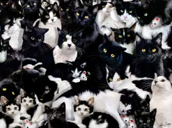SUNSOUT Une étude en noir et blanc - puzzle de 1000 pièces