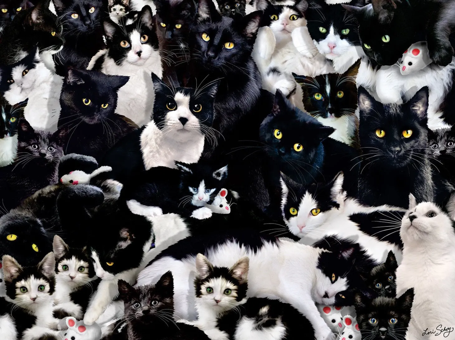 SUNSOUT Une étude en noir et blanc - puzzle de 1000 pièces