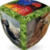 V-Cube V-2 Oiseaux uniques - Cube