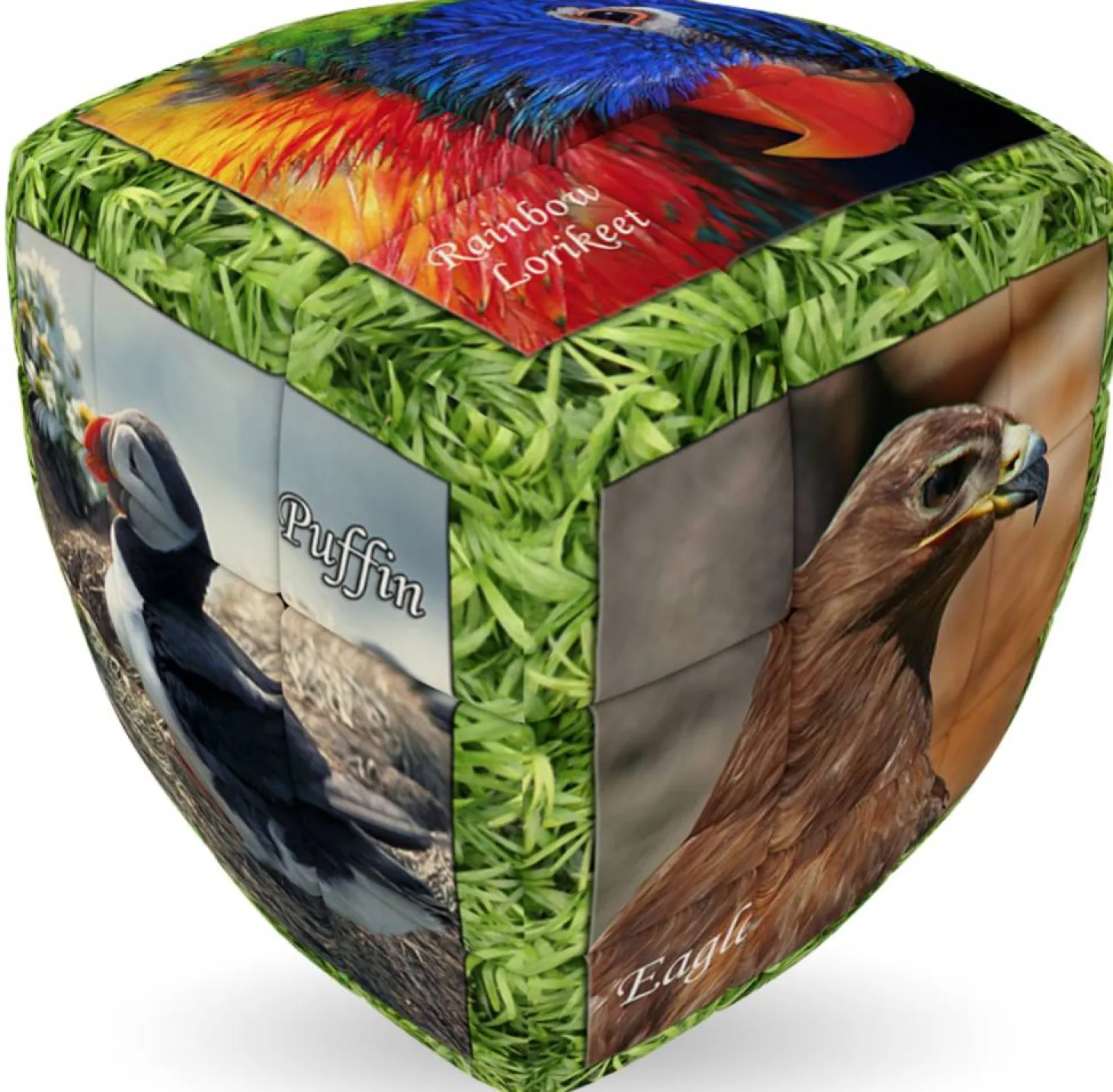 V-Cube V-2 Oiseaux uniques - Cube